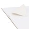 18" x 24" 10-Sheet 8-Ounce Triple Primed Acid-Free Canvas Paper Pad (Pack of 2 Pads), Canvas Paper for Acrylic Painting
